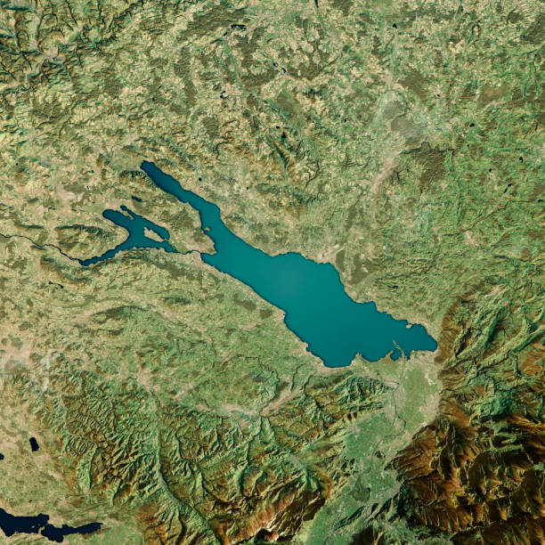 lago constanza render 3d por satélite ver mapa topográfico - austria map topography satellite view fotografías e imágenes de stock