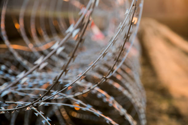 istock Close-up of circled razor wire on field 665046676