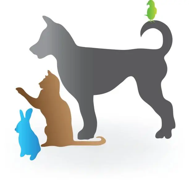 Vector illustration of Pets cat dog rabbit and parrot figures icon