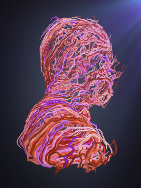 istock Abstract portrait. Interlacing pink curves. 3D rendering 665055102