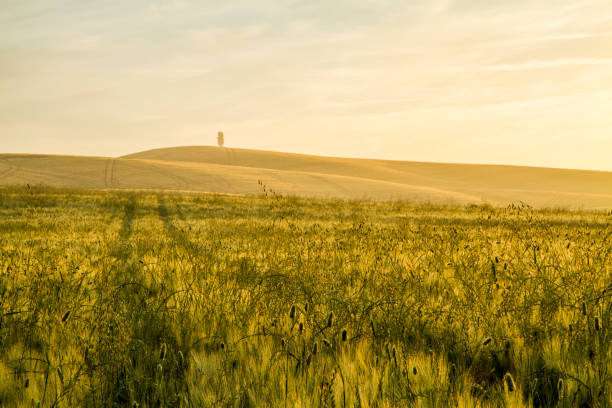 istock Beautiful view of green fields and meadow 665064626