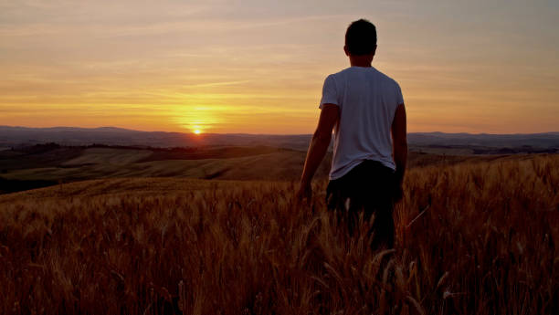 istock Man walking in wheat field during sunset 665067174