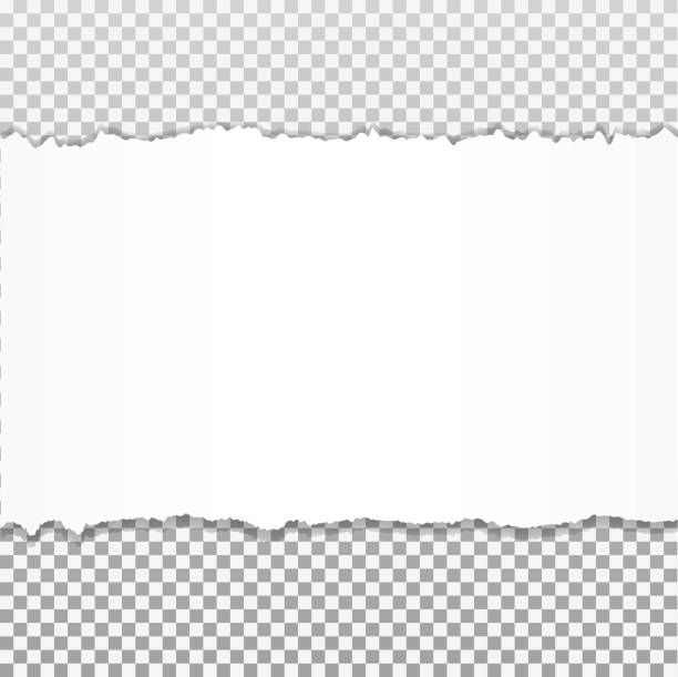 Realistic vector torn paper with ripped edges with space for your text. Realistic vector torn paper with ripped edges with space for your text. torn paper stock illustrations