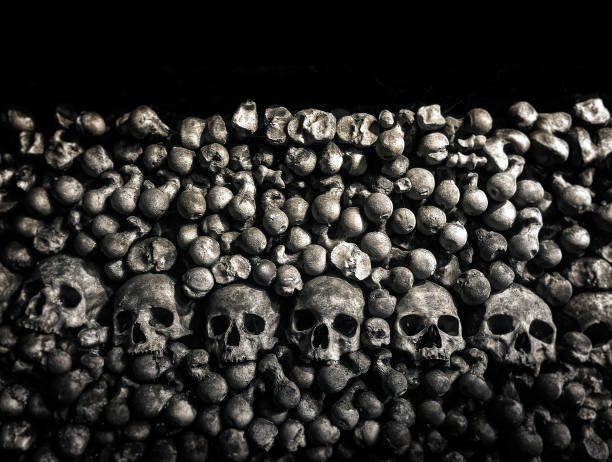 skulls and bones - burying ground imagens e fotografias de stock