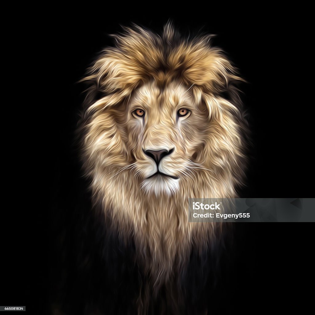 Portrait of a Beautiful lion, lion in the dark, oil paints, soft lines Lion - Feline Stock Photo