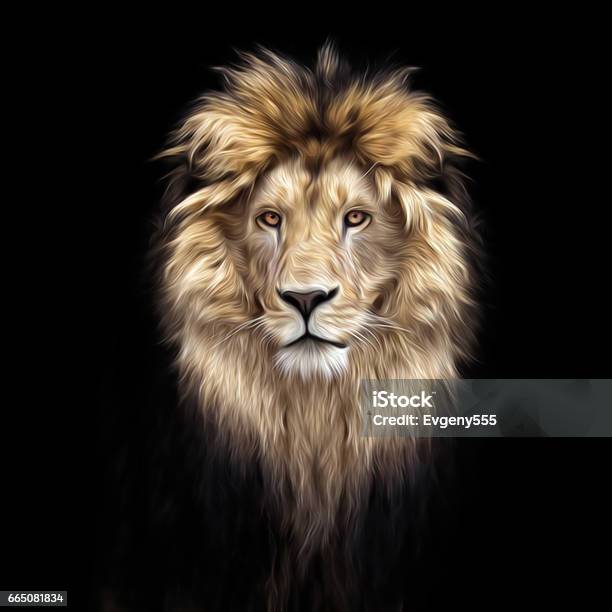 Portrait Of A Beautiful Lion Lion In The Dark Oil Paints Soft Lines Stock Photo - Download Image Now