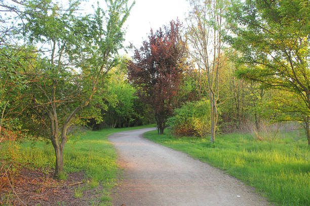 istock road in the park 665084854