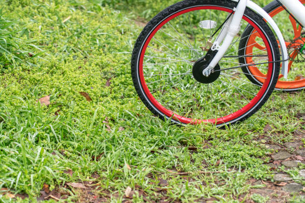 istock bike on lawn in rainy day 665085546