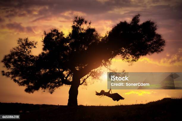 Silhouette Of Happy Young Woman On A Swing With Sunset Background Stock Photo - Download Image Now