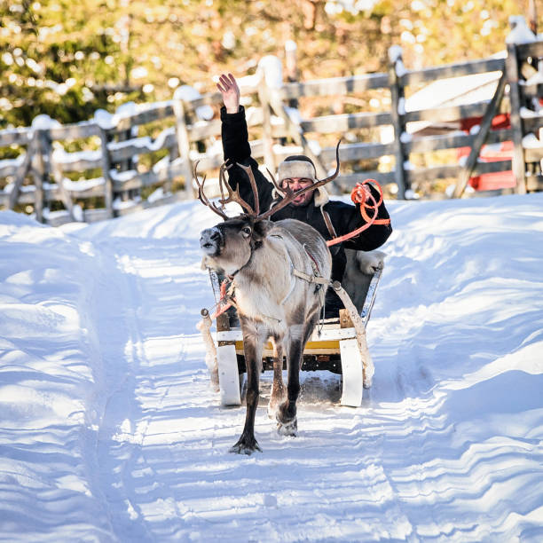 istock Man while reindeer sledge ride at winter Rovaniemi Northern Finland 665103554