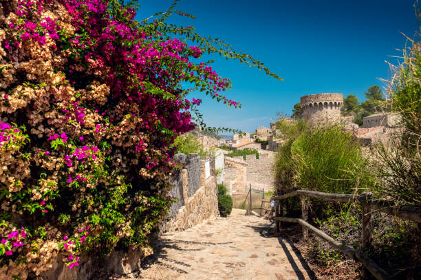 Tossa de Mar Paved narrow street in the fortress of the town of Tossa de Mar with flowers on the foreground tossa de mar stock pictures, royalty-free photos & images