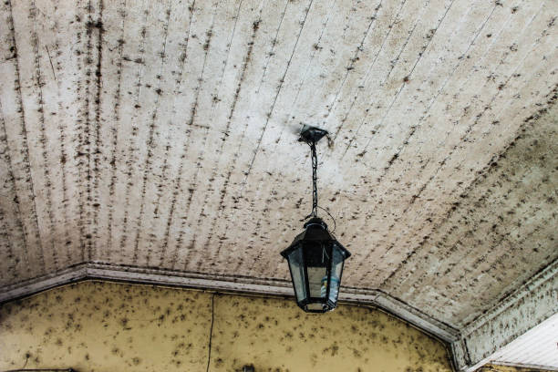 istock Lamp in a Concrete Background 665103818