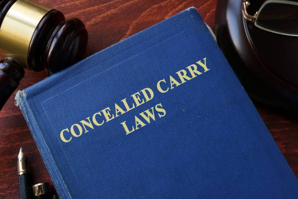 titolo concealed carry laws su un libro e martello. - gun laws foto e immagini stock