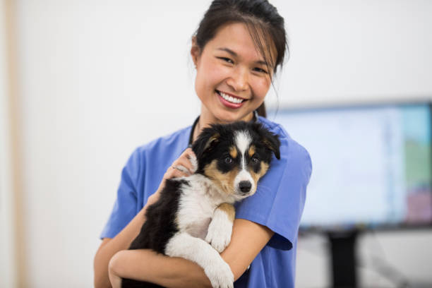 istock Adorable Companion 665117590