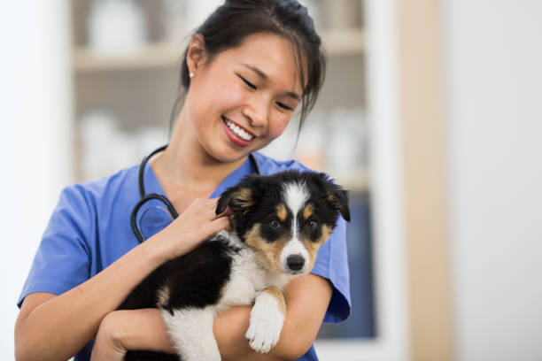 Puppy's Health