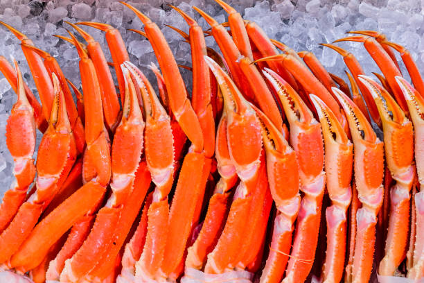 fresh delicious Japanese snow crab fresh delicious Japanese snow crab at Kinosaki onsen Japan snow crab photos stock pictures, royalty-free photos & images