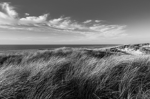 Dunes in Black and White