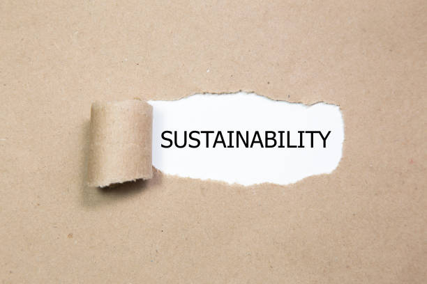 istock The word Sustainability appearing behind torn paper. 665128044