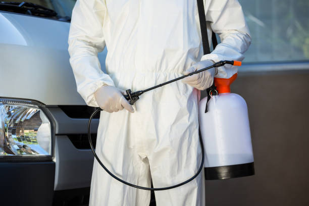 istock Mid section of pest control man standing next to a van 665131418