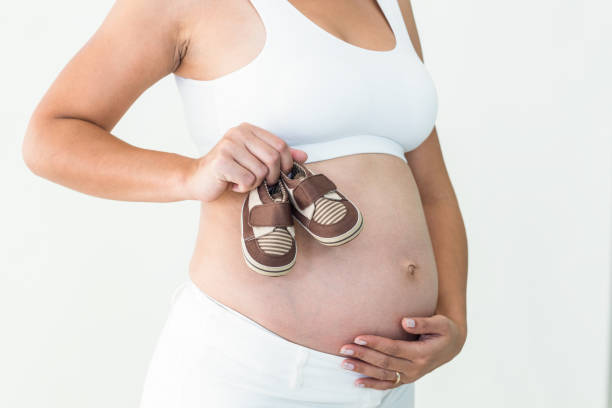 임산부 쥠 아기 신발도 - baby booties studio shot horizontal shoe 뉴스 사진 이미지