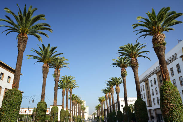 Morocco. The Mohammed V avenue in Rabat stock photo