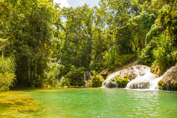 istock El Nicho waterfall, in Scambray mountains. Cuba 665139444