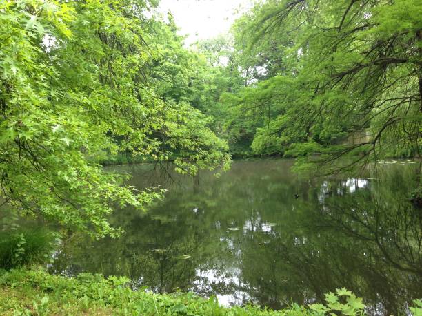 istock Small lake in the botanical garden 665157776
