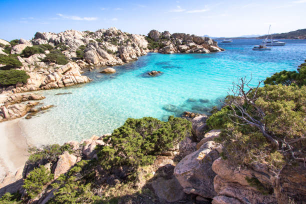 istock Beach of Cala Coticcio, Sardinia, Italy 665162672