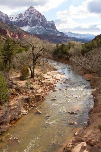 istock Virgin River Zion National Park 665166568