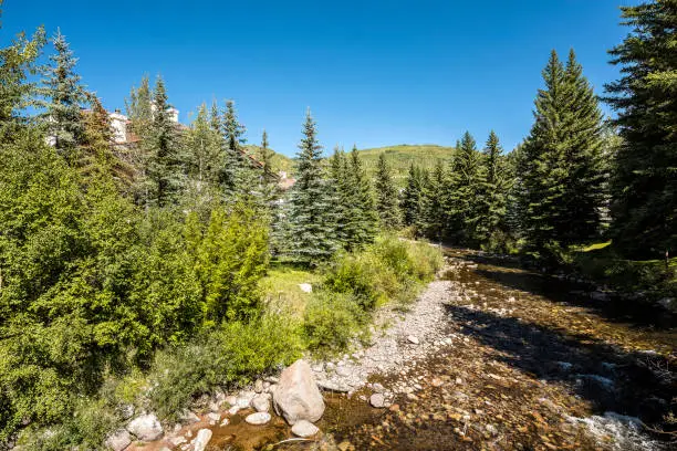 Photo of Gore creek in Vail, Colorado with pine tree forest
