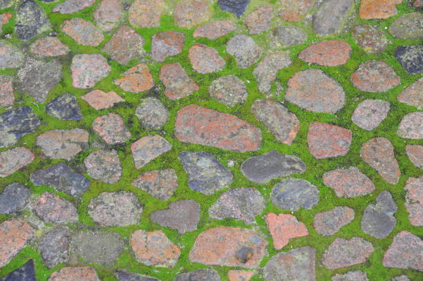 istock Cobblestones in Tossa del Mar - Spain- 665170276