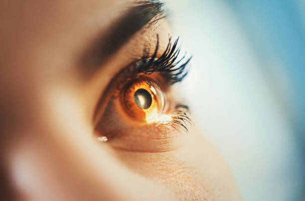 Eyesight exam. Macro shot of mid 20's brown eyed woman having her eyes examined at optometrists office. Her head is placed into tomography machine and light beam is shining through her retina and lens. human eye stock pictures, royalty-free photos & images