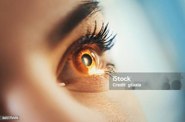 Eyesight Exam Stock Photo - Download Image Now - Eye, Optometrist, Human Eye