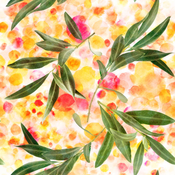 bezešvý vzor větví olivovníku na akvarelové struktuře - středomořská kuchyně fotky - stock snímky, obrázky a fotky