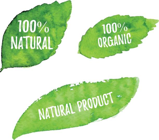 100% naturalny, organiczny, naturalny produkt ekologiczny projekt przyrody. wektorowe zielone liście akwareli, naturalne, organiczne, bio, eko label i kształt na białym tle. ręcznie rysowana plama. - food illustration and painting painted image mint stock illustrations