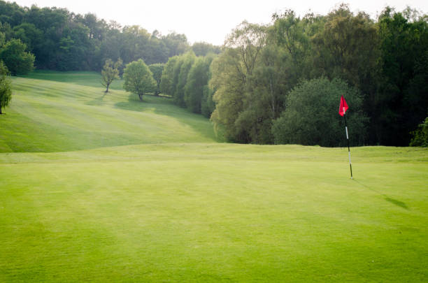 골프 코스 부 지 티 및 복사 공간 배경 - putting green practicing putting flag 뉴스 사진 이미지