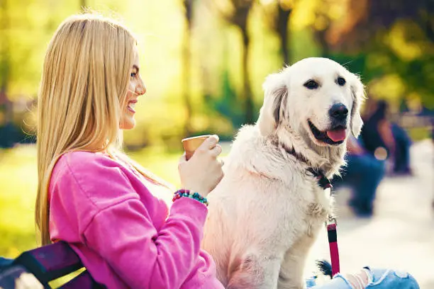 Young blonde woman is relaxing in the park with her retriever.