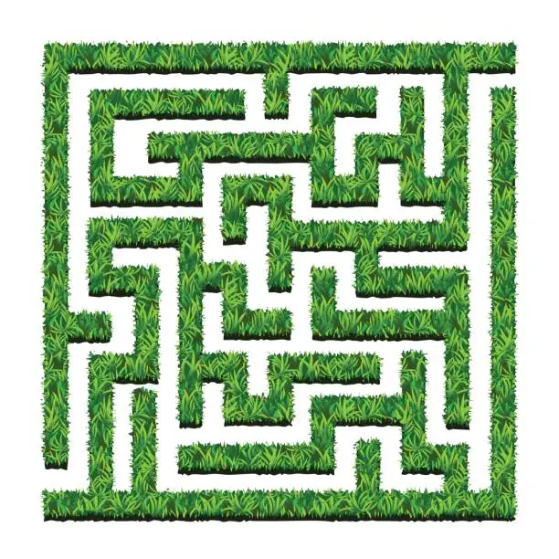 Vector illustration of Maze of green bushes, labyrinth garden. Vector illustration. Isolated