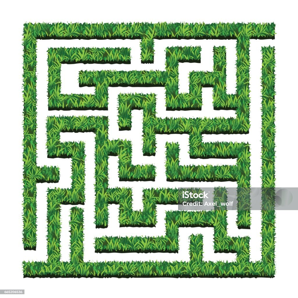 Mê Cung Của Những Bụi Cây Xanh Khu Vườn Mê Cung Minh Họa Vectơ Bị ...