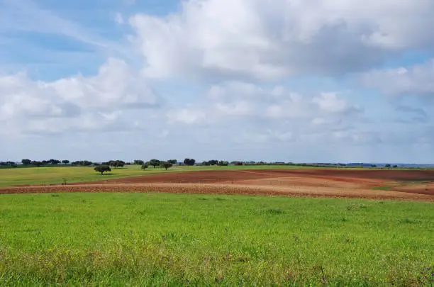 agricultural field and cloudsky, alentejo, Portugal