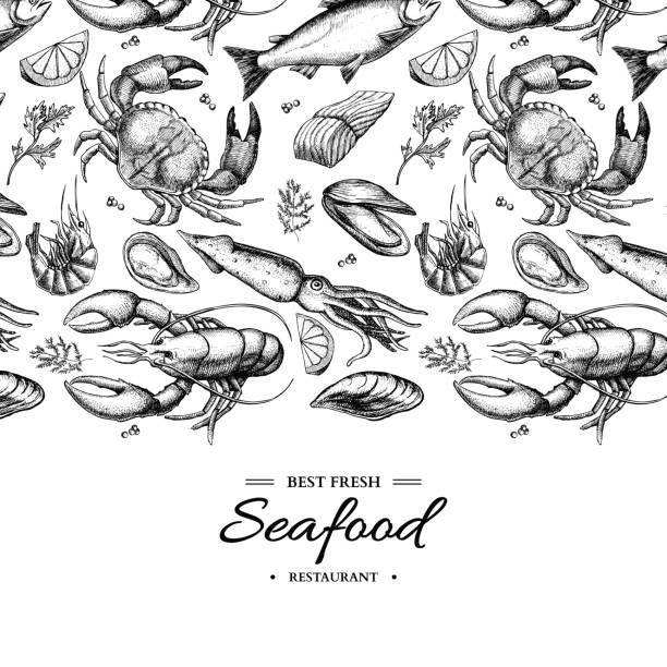 ilustraciones, imágenes clip art, dibujos animados e iconos de stock de vector dibujado de la mano de mariscos enmarcada ilustración. cangrejo, langosta, camarones, ostras, mejillones, caviar y calamar. - fish seafood lobster salmon