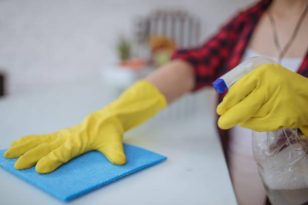 istock Woman cleaning the house 665221402