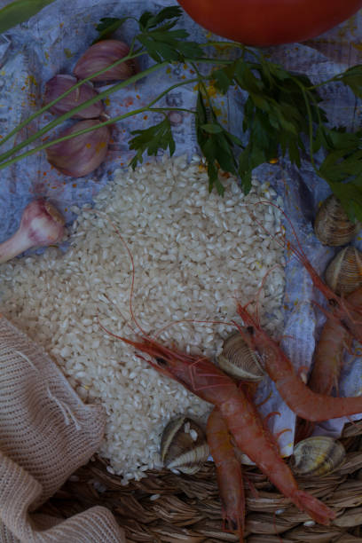 Rice and Shrimps