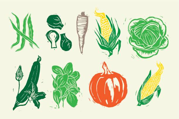 stockillustraties, clipart, cartoons en iconen met houtsnede groenten - houtgravure