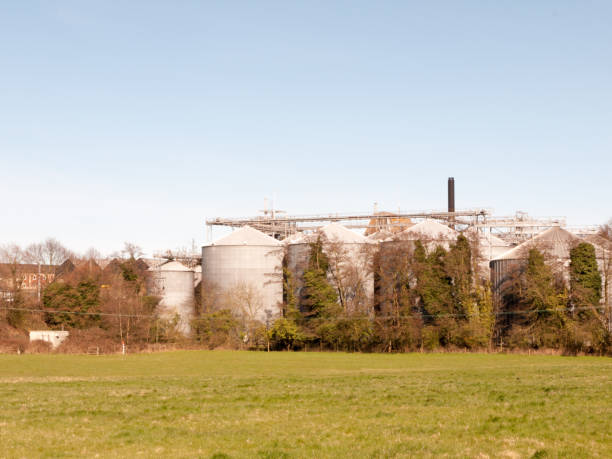 istock Malt factory industry outside from a field 665231264