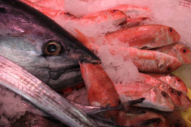 istock Fresh sea fishes on crushed ice 665241606