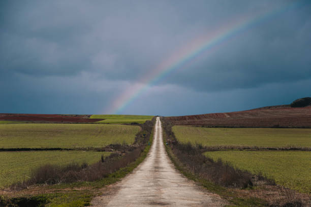 istock Countryside road with rainbow 665242478