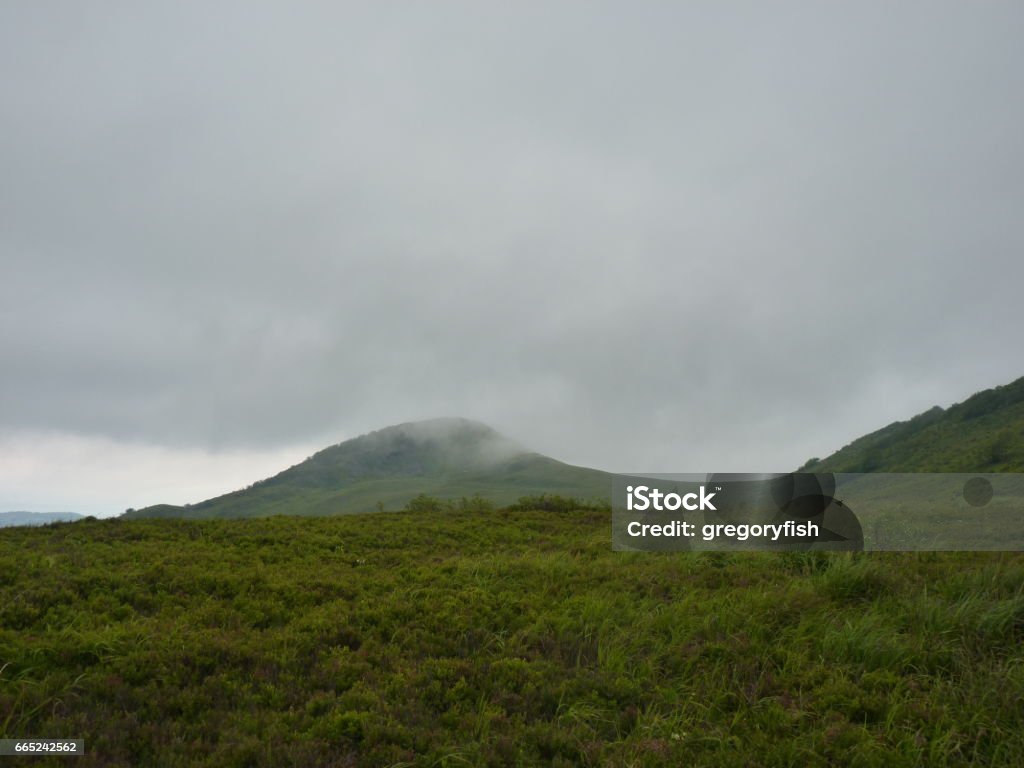 Foggy mountains forest and meadow. Beautiful landscape rainy clouds moody weather colors scenic background. Bieszczady mountains, Poland Atmospheric Mood Stock Photo