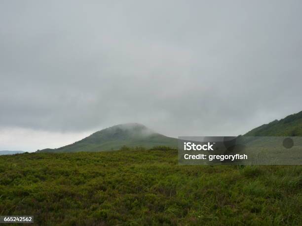 Foggy Mountains Forest And Meadow Beautiful Landscape Rainy Clouds Moody Weather Colors Scenic Background Bieszczady Mountains Poland Stock Photo - Download Image Now