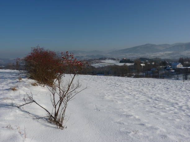 istock Beautiful winter landscape. Mountains covered with snow. 665256762